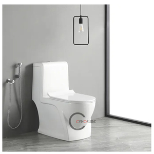 Inodoros Modernos de Cierre Suave, Sanitarios de Cerámica de Una Pieza, Inodoro Europeo de Cerámica para Suelo - Product Image 2