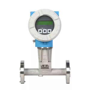 Medidor de Flujo Vortex E+H Endress Hauser para Aplicaciones de Gas, Vapor, Líquidos y Aguas Residuales, Fabricado en China Continental - Product Image 6