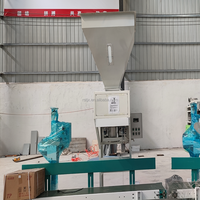 Machine d'emballage horizontale à grande vitesse pour pâtes spaghetti, équipement d'emballage automatique en sachet pour aliments et boissons avec contrôle PLC