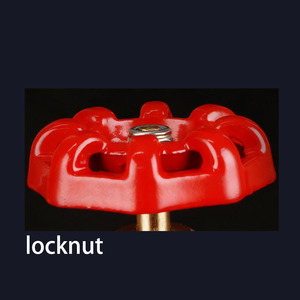 <span class=keywords><strong>3</strong></span>/4 '<span class=keywords><strong>inch</strong></span> nữ chủ đề Brass Van cổng Hướng dẫn sử dụng điện cho nước được sản xuất bởi nhà sản xuất van - Product Image 2