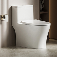 WC moderne monobloc à siphon en S, à poser au sol, pour salle de bain