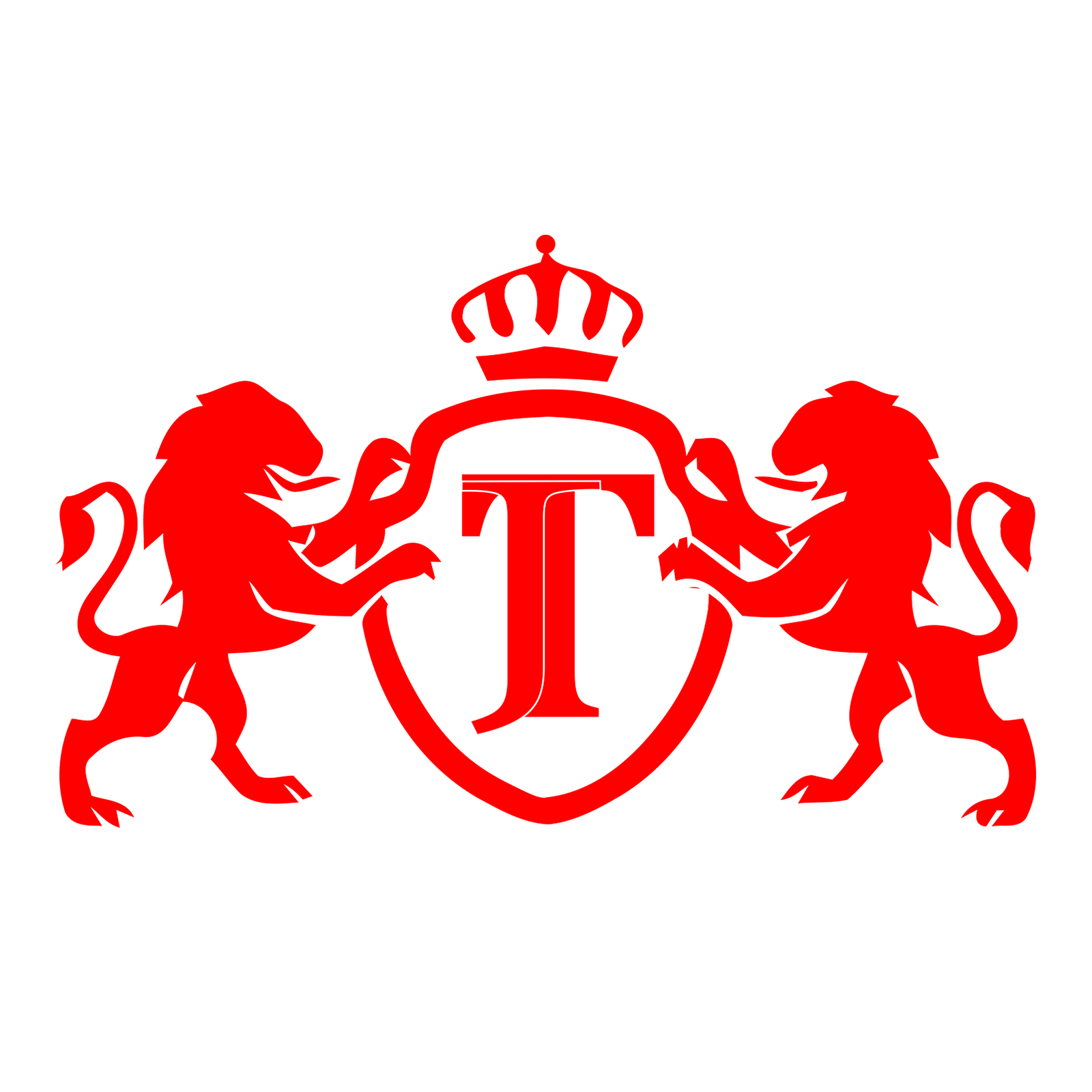 Dongguan JT Sporting Goods Co., Ltd. logo