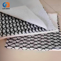 Filet de drainage composite 3D, filet de drainage composite en plastique, géotextile pour parkings industriels, matériaux HDPE/PP