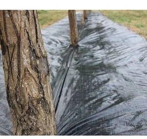 Nhà Máy Giá thấp cuộc sống ngoài trời của 8 năm <span class=keywords><strong>egp</strong></span> Weed Mat Đen Nông Nghiệp PP Weed kiểm soát - Product Image 3