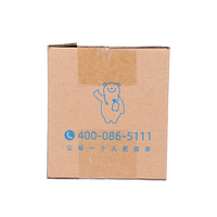 Boîte Cadeau Rose Luxe Personnalisée avec Plastification Mate en Carton Ondulé pour Emballage Médical Écologique Recyclable Pliable