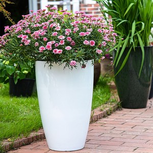 Maceta Redonda Moderna de Plástico para Flores, Precio de Fábrica, Venta al por Mayor, Macetero Alto para Jardín, Hogar, Oficina, Sala de Estar, Decoración Interior y Exterior - Product Image 3