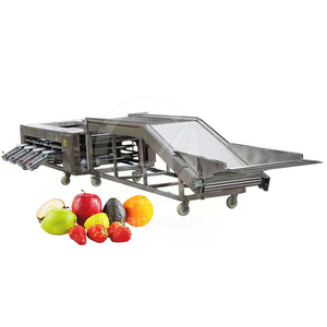 Macchina Automatica <span class=keywords><strong>per</strong></span> la Selezione, Lavaggio e Pesatura di Frutta e Verdura: Mele, <span class=keywords><strong>Patate</strong></span>, Pomodori, Arance, Avocado, Cipolle - Product Image 2