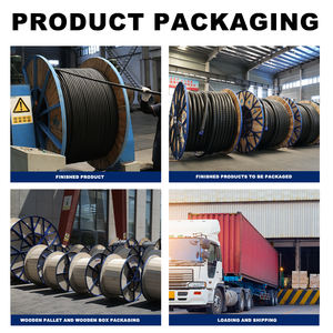 سيارة من الفئة C-شريط فولاذية مدرعة (22) ، IEC ، للنباتات والأنفاق الصناعية - Product Image 5