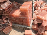 Briques de sel de l'Himalaya rectangulaires, carreaux de sel pour la fabrication de murs de sauna et de spa, purification de l'air