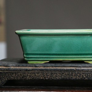 Maceta de Cerámica para Bonsái, Rectangular, Verde, con Esmalte Agrietado, para Mesa - Product Image 2