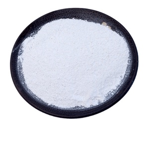 200 - 800 Talc en poudre pour la fabrication de papier et de céramique - Product Image 2
