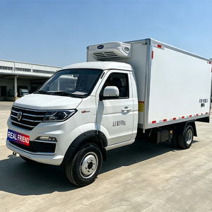 Camioneta <span class=keywords><strong>Refrigerada</strong></span> Jinbei T50 de <span class=keywords><strong>Segunda</strong></span> <span class=keywords><strong>Mano</strong></span> con Bajo Consumo de Combustible y Chasis Amortiguador para Larga Distancia - Product Image 2