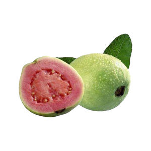 100% puro Estratto di Foglie di <span class=keywords><strong>Guava</strong></span> <span class=keywords><strong>Guava</strong></span> Polvere di Frutta - Product Image 2