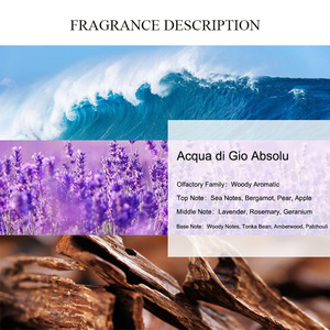 Huile parfumée <span class=keywords><strong>Acqua</strong></span> <span class=keywords><strong>Di</strong></span> <span class=keywords><strong>Gio</strong></span> Absolu UNIQUE AROMA haute qualité parfum original pour hommes parfums huile de Cologne pour hommes parfum - Product Image 2
