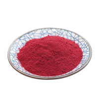 Poudre de Betterave Rouge 100% Pure en Gros, Séchée à l'Air Chaud, en Vrac