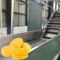 Geautomatiseerde PLC-gestuurde roestvrijstalen productielijn voor mango puree/sap/drank/gedroogde producten met hoge capaciteit