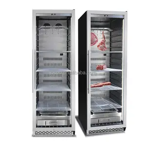 ユニークでクリエイティブなUVミートドライエージング冷蔵庫、便利でパーソナライズされたドライエージ冷蔵庫