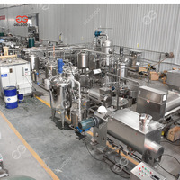 Industriële Automatische Professionele Granaatappel Aril Separator Schroef Pers Juicer Machine Granaatappelsap Productielijn