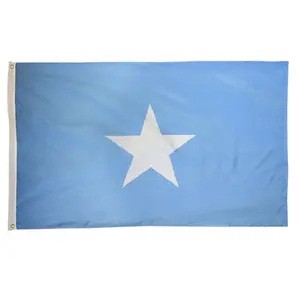 2023 New Product Hot Selling 3x5ft Large Digital Printing Polyester National Somalia Flag