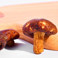 Chips de verduras fritas al vacío de setas Shiitake Producto de aperitivos de frutas y verduras