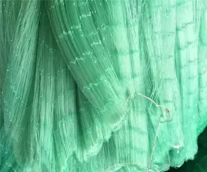 China Sale Nylon Monofilament 0.20MM 100MD Double Knots Green European Market Fishing Nets WZXH