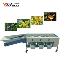 Customizable factory price fruit sorting machine/ potato size sorting machine/ blueberry size grading machine