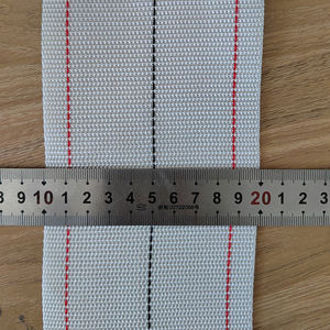 Pp Eiertransportband Eieropvangriem Voor Eierophaalservice - Product Image 1