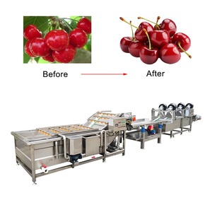 Ligne de traitement des légumes avec <span class=keywords><strong>machine</strong></span> de lavage, séchage, tri, calibrage et découpe des fruits (orange, pomme, citron) avec garantie d'un an - Product Image 1