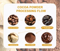 Machine de fabrication de poudre de fèves de cacao à petite échelle, machine de broyage du cacao en poudre, usine de transformation