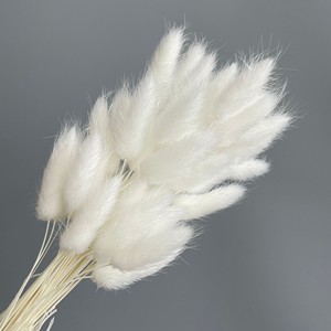 Herbe de la Pampa et Fleurs Séchées Naturelles, Couleurs Variées, pour Décoration de Mariage et de Maison - Product Image 1