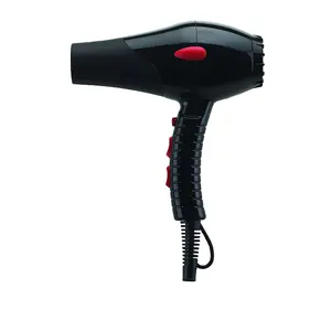 RONGGUI Wholesale Shipping From China Automatic 2100W Hair Dryer Hairdryer
