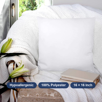 Coussins décoratifs d'intérieur 16 x 16 pouces carrés, hypoallergéniques, en polyester, insert de coussin