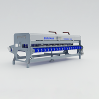Nettoyeur de tapis électrique Worker SC 4200, nouveau modèle économique, moteur manuel
