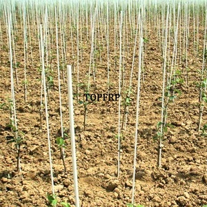 UV Resistant FRP <b>Garden</b> Stakes, Nursery Stakes, Tree Stakes - Product Image 4