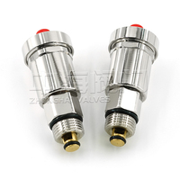 Brass Exhaust Valve for Manifold Accessories