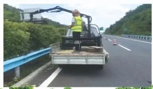 Approvisionnement d'usine <span class=keywords><strong>Meilleur</strong></span> taille-<span class=keywords><strong>haie</strong></span> électrique Taille-<span class=keywords><strong>haie</strong></span> électrique - Product Image 6