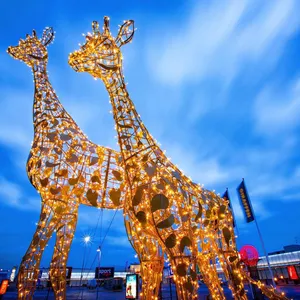 Neue Mode im Freien 3D-Motiv-Licht Straßen-Weihnachtsdekoration LED Festival-Dekorationslicht Led Weihnachtslicht Weihnachtsdisplay