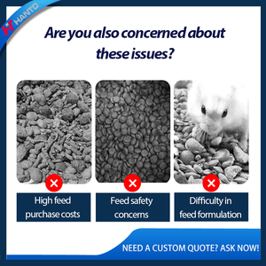 Machine extrudeuse d'aliments pour animaux <span class=keywords><strong>de</strong></span> compagnie multi-usages pour la production d'aliments pour chiens, chats, graines pour oiseaux, appâts <span class=keywords><strong>de</strong></span> <span class=keywords><strong>pêche</strong></span>, extrusion d'aliments avec <span class=keywords><strong>moules</strong></span> personnalisés - Product Image 3