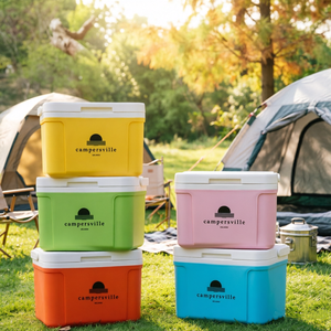 <span class=keywords><strong>Nevera</strong></span> portátil de 5L, caja refrigeradora de PP de grado alimenticio, con aislamiento, mantiene la temperatura por 48 horas, mini <span class=keywords><strong>nevera</strong></span> para leche materna, comida para bebés, camping y picnic. - Product Image 1