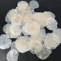 Vente chaude 1 Kg Capiz Shell Pieces Natural Shell Matières premières pour carillons éoliens décoratifs et accessoires d'artisanat