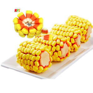 फल स्वाद एचएसीसीपी/बीआरसी/हलाल प्रमाणित के साथ कोब कार्टून आकार पर OEM कस्टम प्यारा और मजेदार DIY कैंडी कॉर्न - Product Image 1