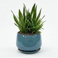 Pot de fleurs personnalisé OEM ODM, nouveau design, décoration de jardin et de maison, pots à fleurs en céramique