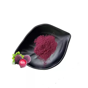 Factory Supply Organic Certificated 95% Red Bayberry Extract Waxberry Extract Powder For Skin Care