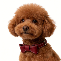 Ensemble de colliers en cuir du fabricant – Accessoires élégants pour animaux de compagnie (chats et chiens) – Laisse et collier de luxe pour chiots et grands chiens – Durables