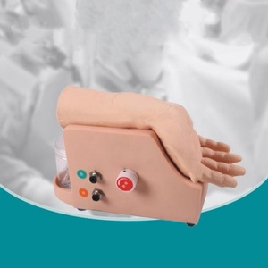 Modelo de Entrenamiento para Análisis de Gases en Sangre Arterial, Modelo de Dispositivo Electrónico de Circulación Sanguínea en Brazo - Product Image 4