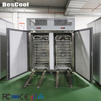 Congélateur vertical à refroidissement rapide avec surveillance à distance -60°C - Vente en gros ℃   Sur mesure pour usine de légumes surgelés/usine de plats préparés