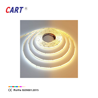 Bande lumineuse LED COB IC adressable flexible double blanc 2800K-6500K WS2811 SPI 10mm de large, pour hôtel, DC 24V, découpable