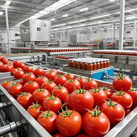 Automatische industriële productielijn voor het vullen van wortelgroentensap met 304 roestvrij staal, hoge efficiëntie, commercieel gebruik