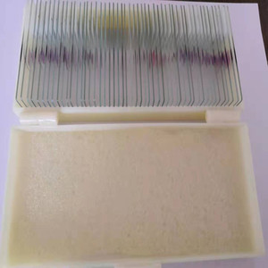 Factory direct supply of biological slides, <b>microscope</b> slides, for medical research, higher education, and 50 types of medical - Product Image 2