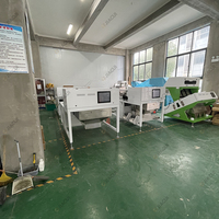Custom 60Cm Enkellaags Efficiënt Gedroogd Fruit Kleur Sorteerder Machine Vorm Sorteerder Voor Gedroogde Aardbeien